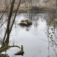 Winkelwagen in de natuur