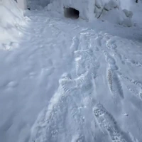 Oeh een tunnel 