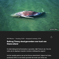 RIP Timmy de bultrug